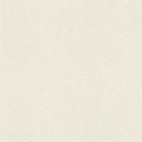 купить Rasch Sparkling 898231