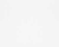 купить A.S.Creation Brigitte 3 861313