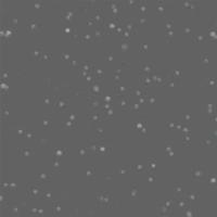 купить Marburg Ulf Moritz Couture 52232