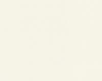 купить A.S.Creation Sunlight 2 707345