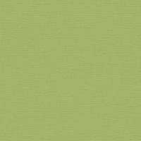 купить P+S International Collage 02505-10