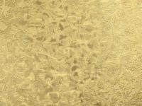купить Delight Splendid&Magnificent 66350 купить Delight Splendid&Magnificent 66350