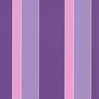 купить P+S International Young Spirit 2015 05602-40