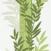 купить P+S International Novara 13083-50