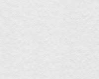 купить A.S.Creation Maistervlies 2020 14111-8