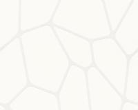 купить A.S.Creation Simply White 255259