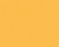 купить A.S.Creation Mac Stopa 32728-5