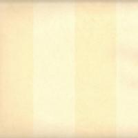 купить Sandudd Nonwoven Nikkari 4826-3