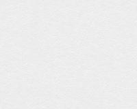 купить A.S.Creation Maistervlies 2020 31601-1