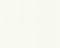 купить A.S.Creation White & Colours 122612