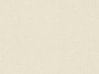 купить A.S.Creation Vernissage 909633