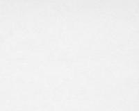 купить A.S.Creation Maistervlies 2020 20001-3