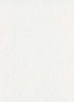 купить Erismann Arcano 5263-01