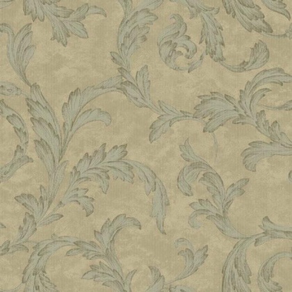 купить Paravox Grafia GR4014