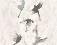 купить A.S.Creation Free Nature 34396-5