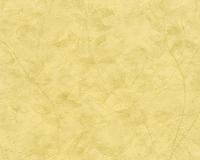 купить A.S.Creation New Look 32447-6