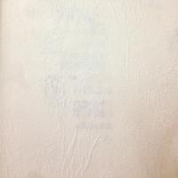 купить Erismann RollOver 3072-1