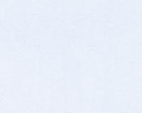 купить A.S.Creation Kids best friends 941932