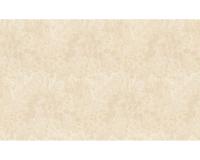 купить A.S.Creation Eternity 30673-5