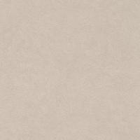 купить Rasch Fiducia 424218