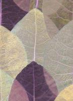 купить Erismann Countryside 2167-09