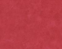 купить A.S.Creation Boys and girls 6 7584-53