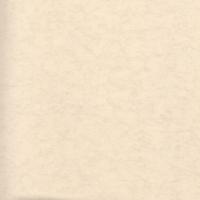 купить Sandudd Nonwoven Paletti 2868-3