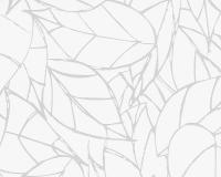 купить A.S.Creation NAF NAF 952252