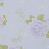 купить BN International La Vie En Rose 46394