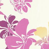 купить P+S International Exclusive 13508-52