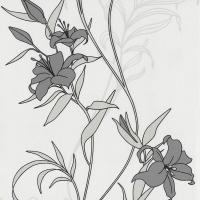 купить P+S International Timeless 2015 13175-40