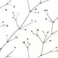 купить Sandudd June 1764