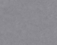 купить A.S.Creation Neue Bude 2.0 36206-4