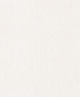 купить Rasch Modern Surfaces 701128