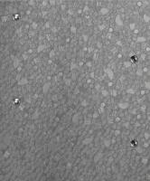 купить Marburg Gloockler Deux 54816