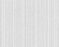 купить A.S.Creation Maistervlies 2020 64491-6