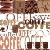 купить Marburg Colour Life 45247