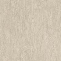 купить Rasch Freundin 438512