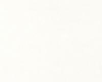 купить A.S.Creation MV Pro/Protect 865519