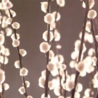 купить Marburg Colour Life 45226