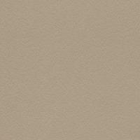 купить Rasch Cosmopolitan 576030