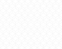 купить A.S.Creation Esprit 6 221919