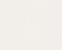 купить A.S.Creation Brigitte 3 857330