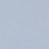 купить Rasch Fiducia 424294