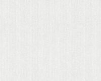 купить A.S.Creation Maistervlies 2020 35452-1