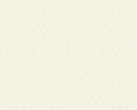 купить A.S.Creation Theatre 36411-2