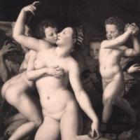 купить Marburg Colour Life 45219