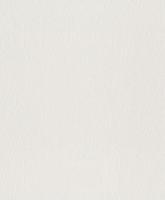 купить Rasch Wallton 2021 124507 (124514)