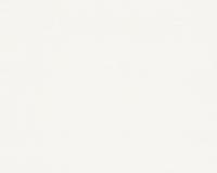 купить A.S.Creation Dekora Natur 5 298218