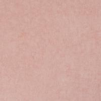 купить BN International 50 shades of colour 48453